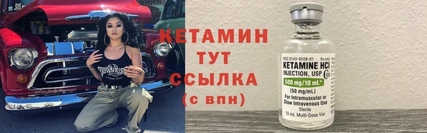 индика Краснослободск