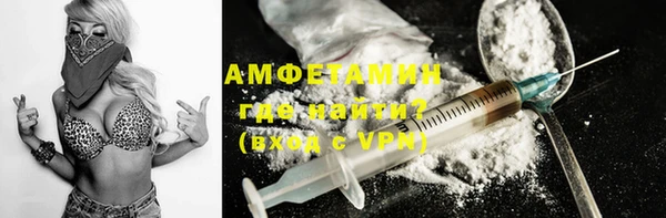 индика Краснослободск