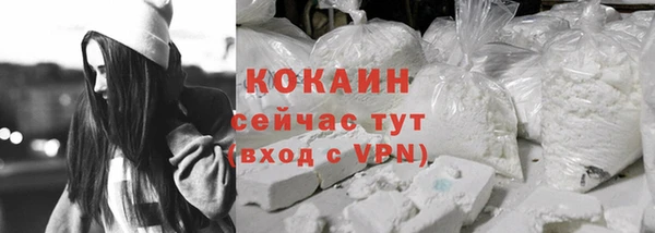 индика Краснослободск