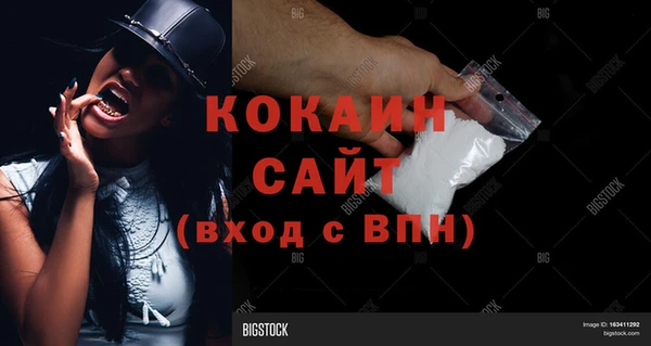 индика Краснослободск