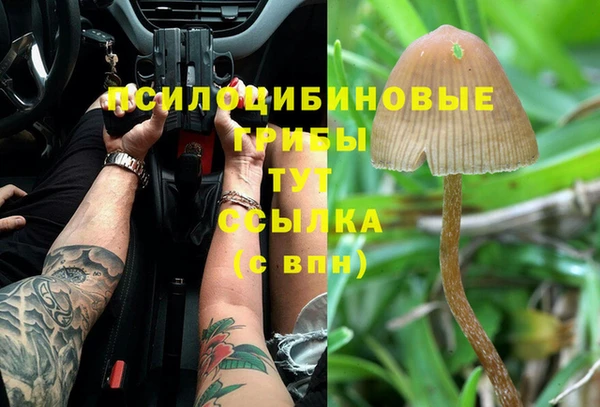 индика Краснослободск