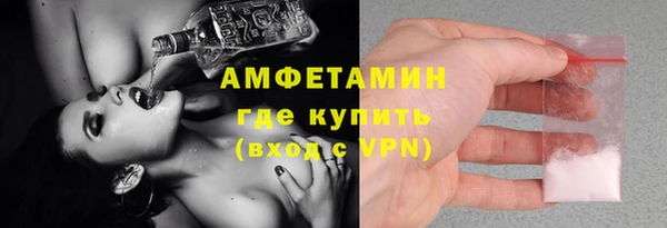 индика Краснослободск