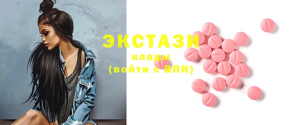 индика Краснослободск