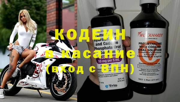 индика Краснослободск