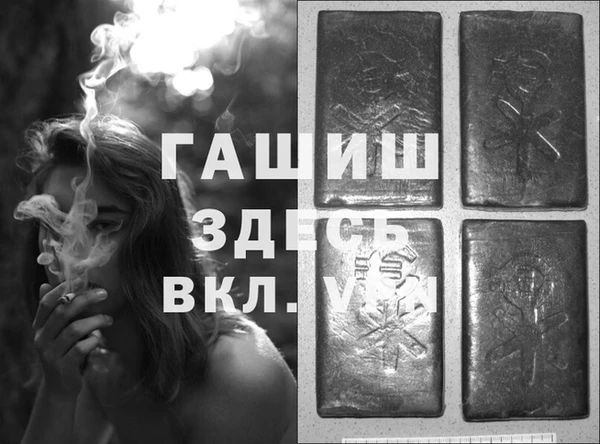 индика Краснослободск