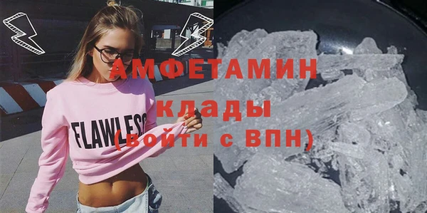 индика Краснослободск