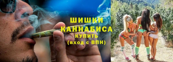 индика Краснослободск