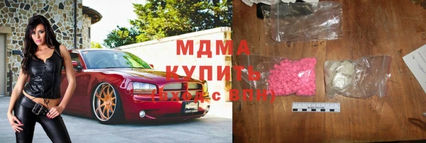 индика Краснослободск