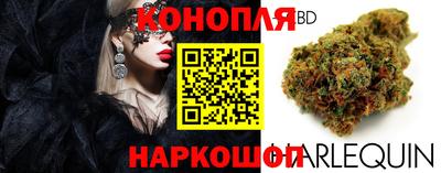 индика Волгодонск