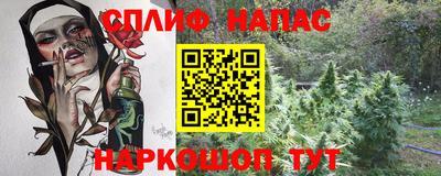 ECSTASY Гай