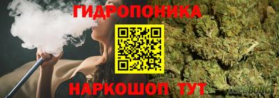индика Волгодонск
