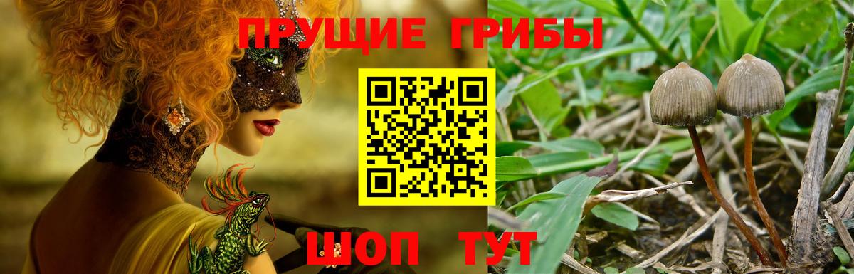 Галлюциногенные грибы Psilocybe  купить наркотики цена  Первоуральск  Вход с VPN 